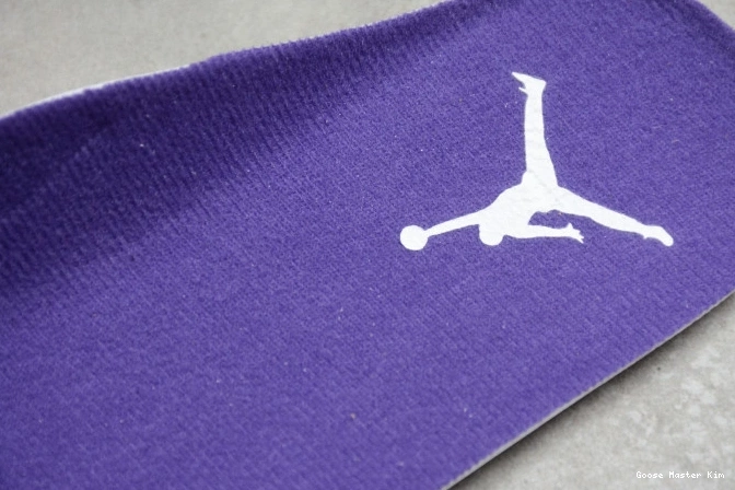 Purple Jordan Air Court CT8527-115 4 0606